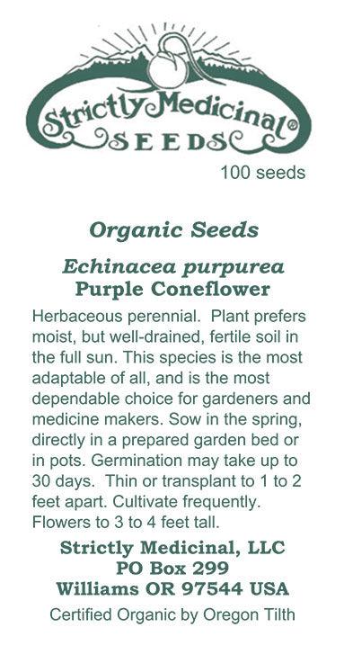 medicinal echinacea seeds Echinacea purpurea Seeds